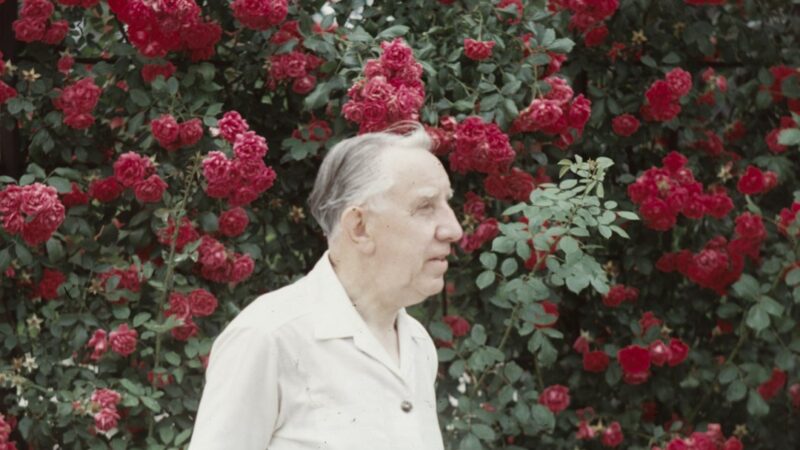 Imagem de capa da história O Jardim de Seu Vicente