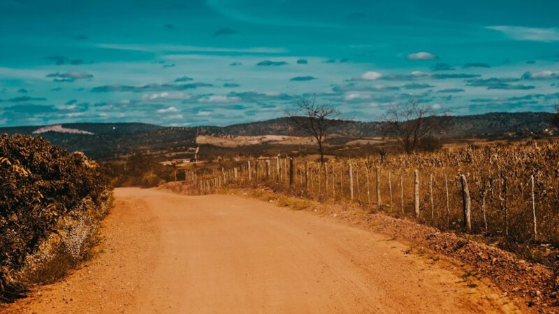 Estrada rural de terra em paisagem seca do interior ao entardecer